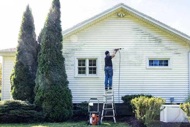 Why Choose Our Certified Pressure Washing Experts for Your Project Needs in Seaford, DE?