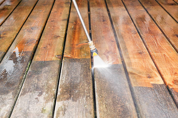 Best Roof Pressure Washing  in Seaford, DE